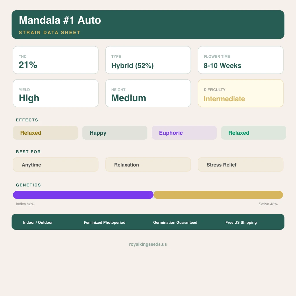 Mandala #1 52% indica / 48% sativa flower with visible trichomes