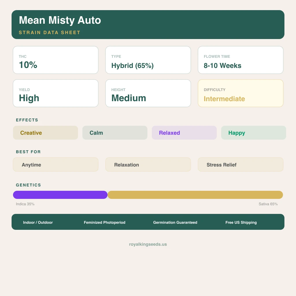 Mean Misty 35% indica / 65% sativa flower with visible trichomes