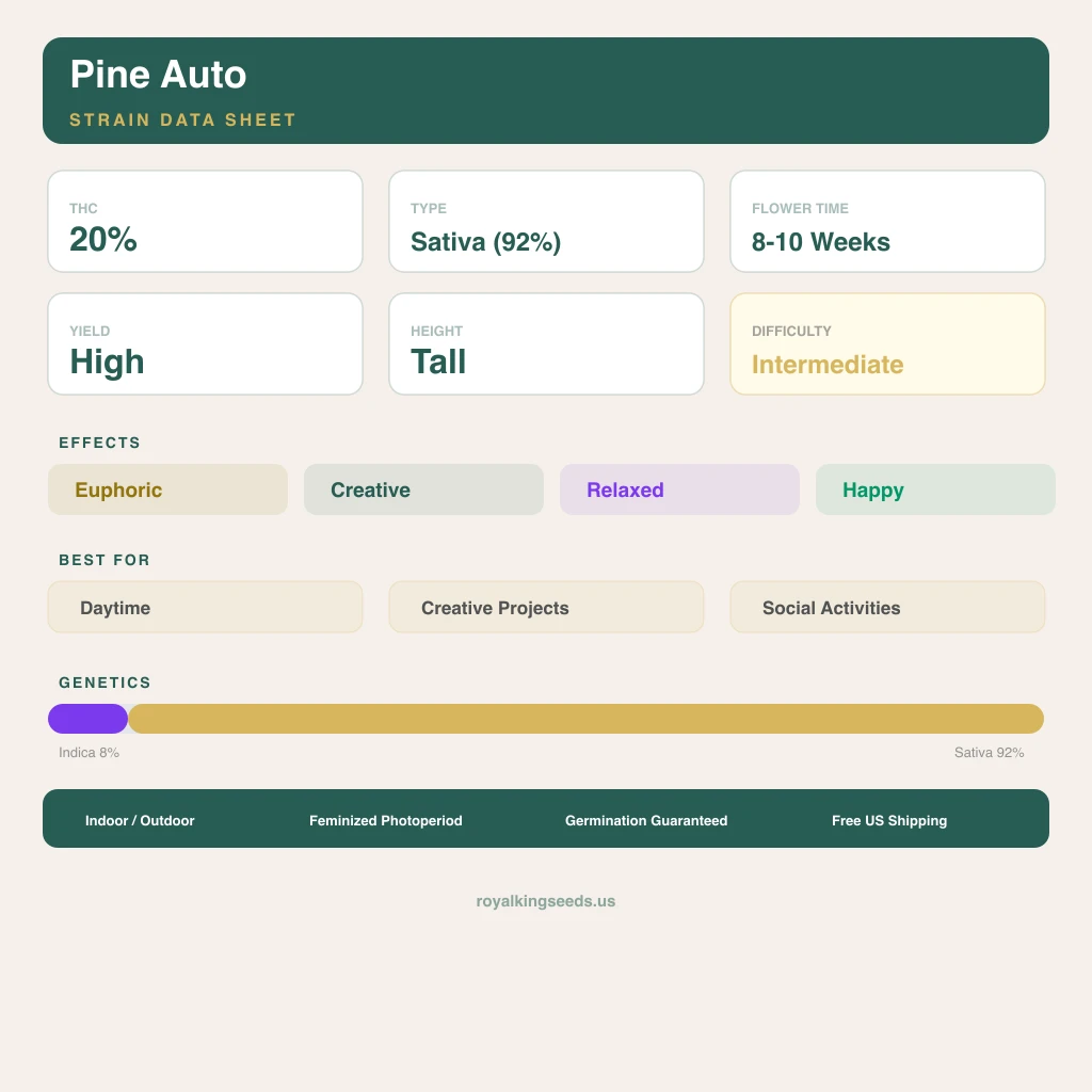 Pine 8% indica / 92% sativa flower with visible trichomes