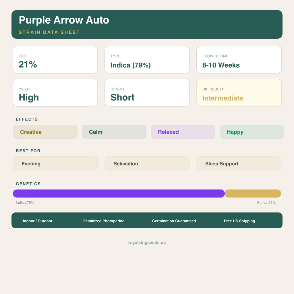 Purple Arrow 79% indica / 21% sativa flower with visible trichomes