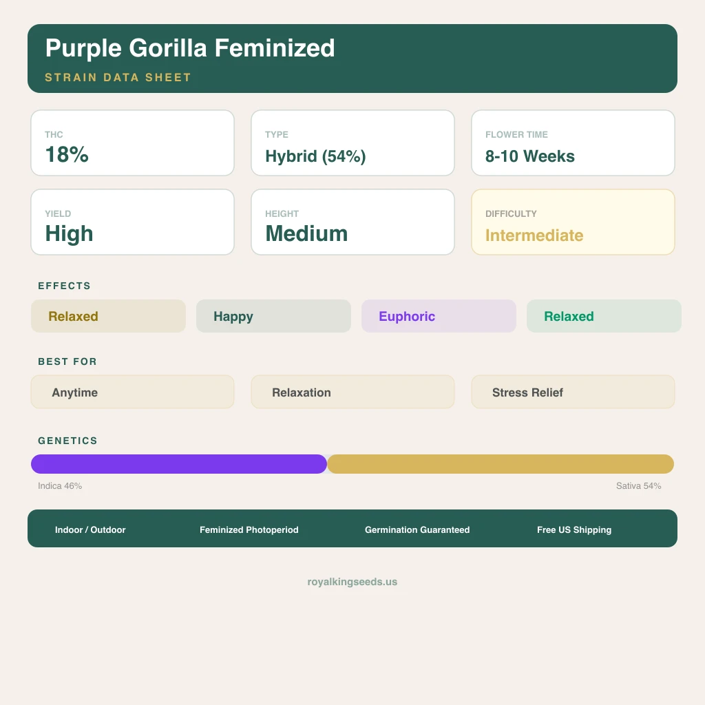 Purple Gorilla 46% indica / 54% sativa flower with visible trichomes