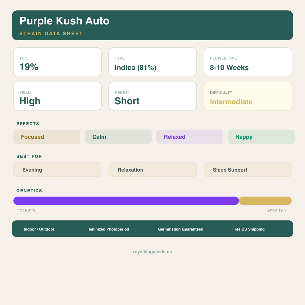 Purple Kush 81% indica / 19% sativa flower with visible trichomes