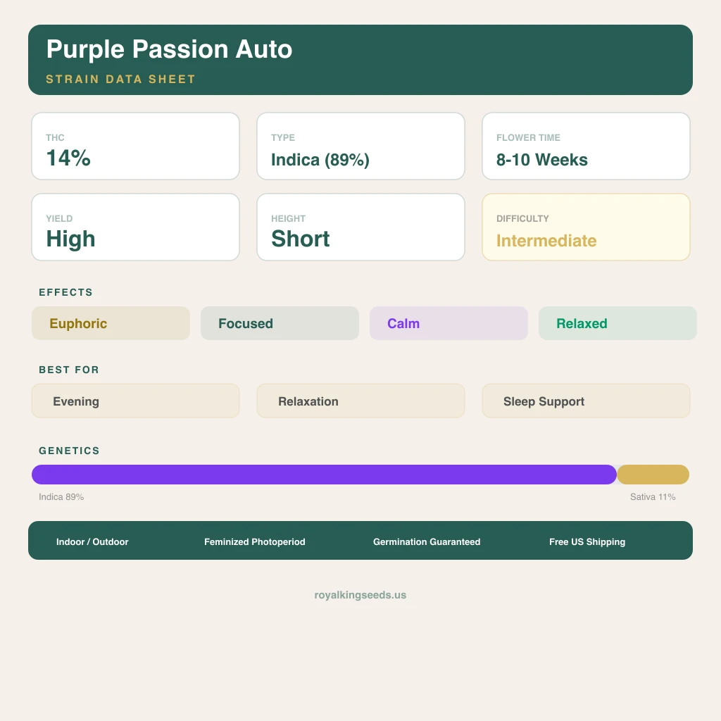 Purple Passion 89% indica / 11% sativa flower with visible trichomes