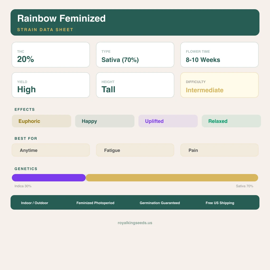 Rainbow 30% indica / 70% sativa flower with visible trichomes