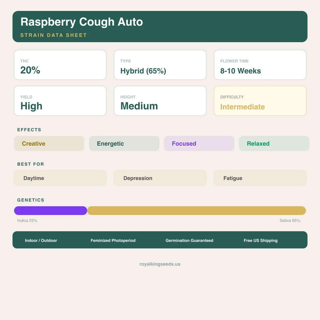 Raspberry Cough 25% indica / 65% sativa flower with visible trichomes