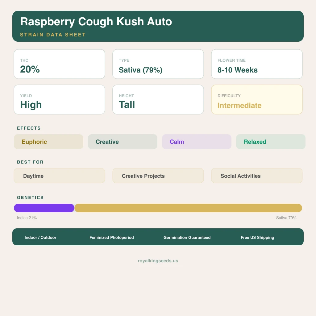 Raspberry Cough Kush 21% indica / 79% sativa flower with visible trichomes