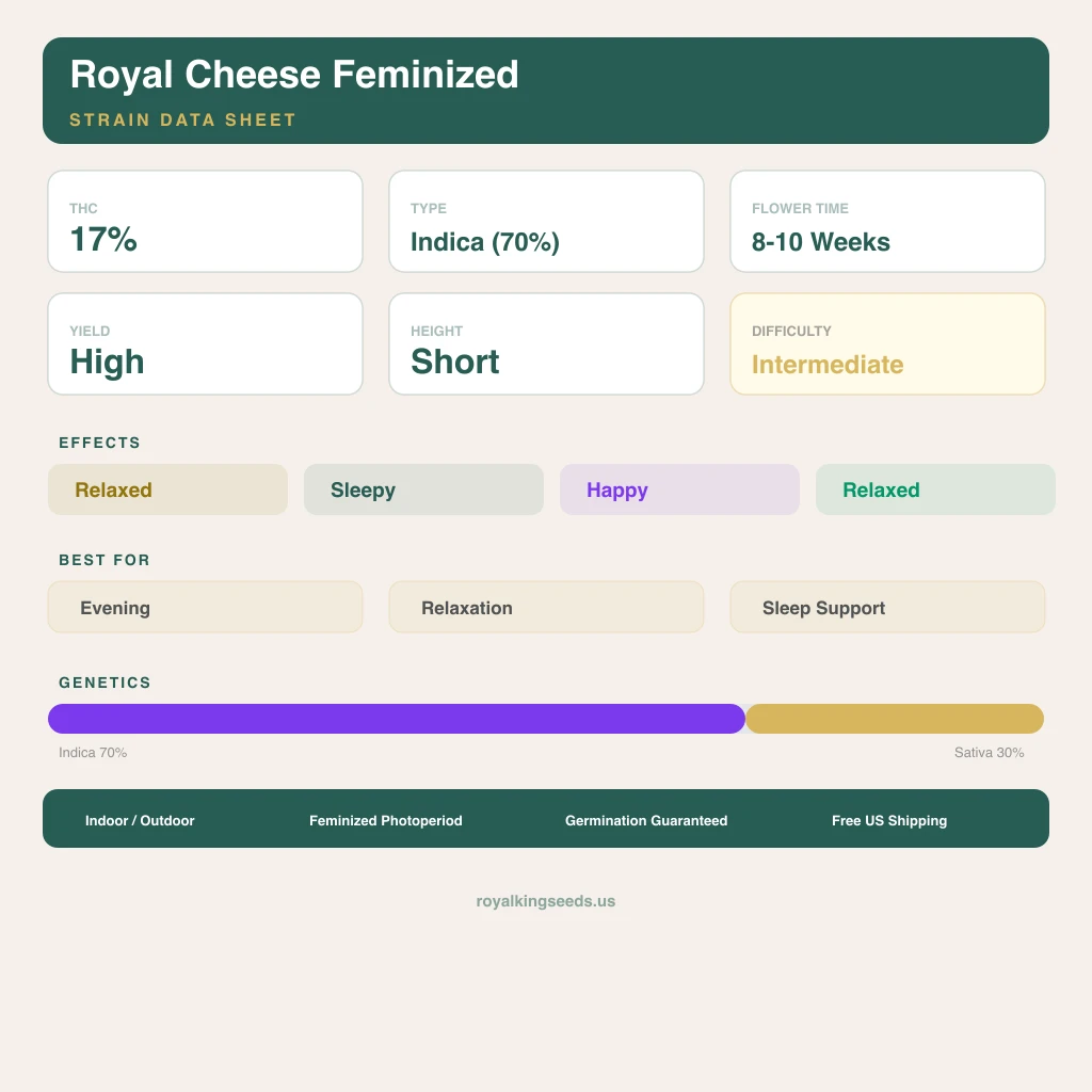 Royal Cheese 70% indica / 30% sativa flower with visible trichomes