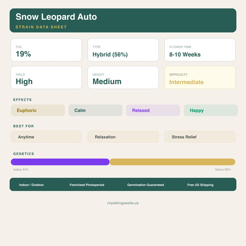 Snow Leopard 44% indica / 56% sativa flower with visible trichomes