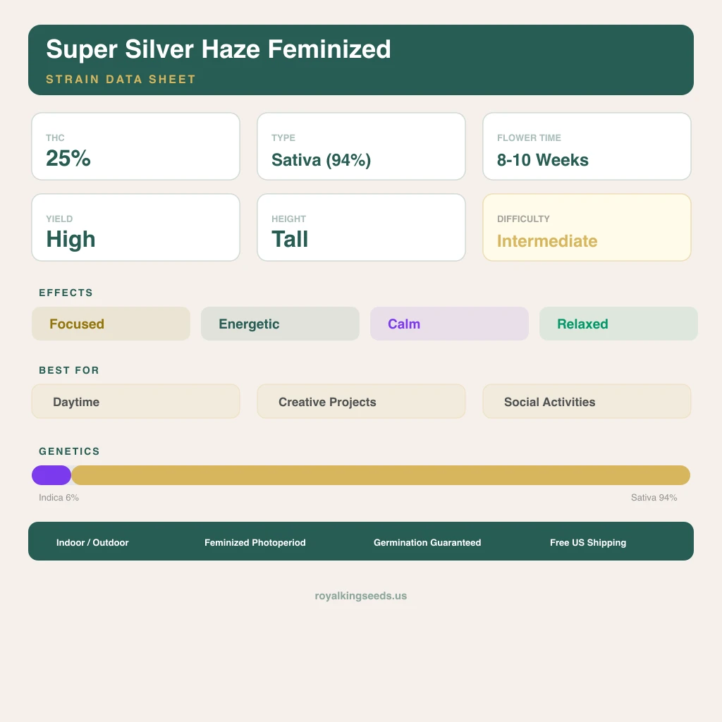 Super Silver Haze 6% indica / 94% sativa flower with visible trichomes