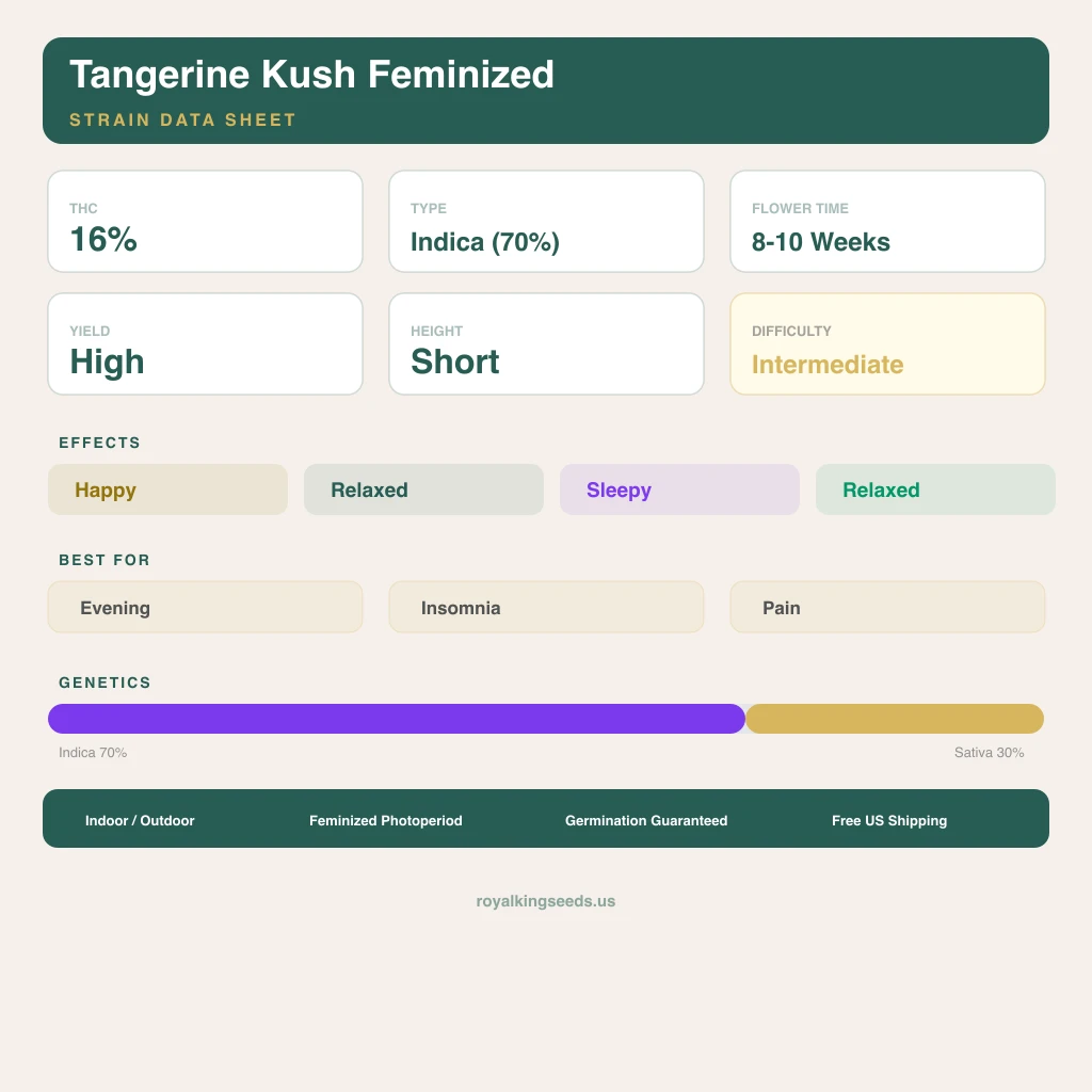 Tangerine Kush 70% indica / 30% sativa flower with visible trichomes