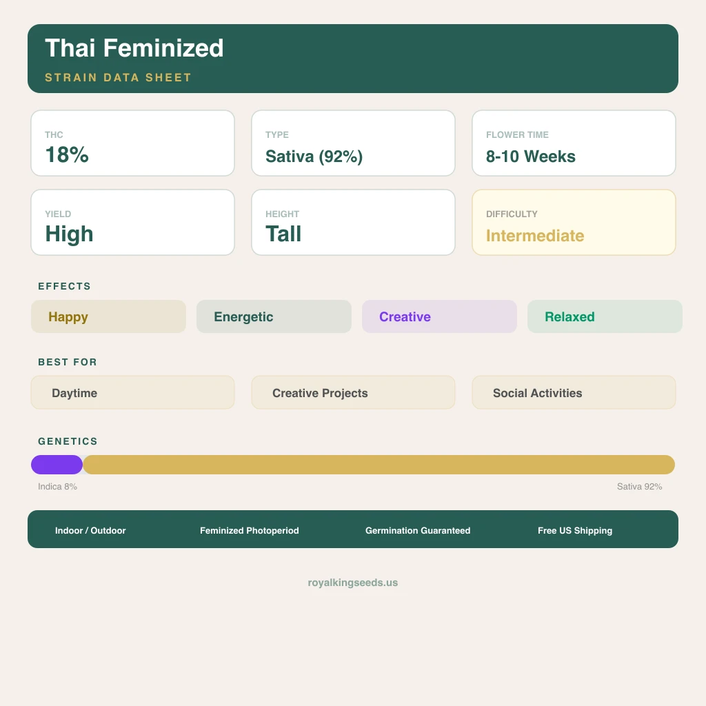 Thai 8% indica / 92% sativa flower with visible trichomes