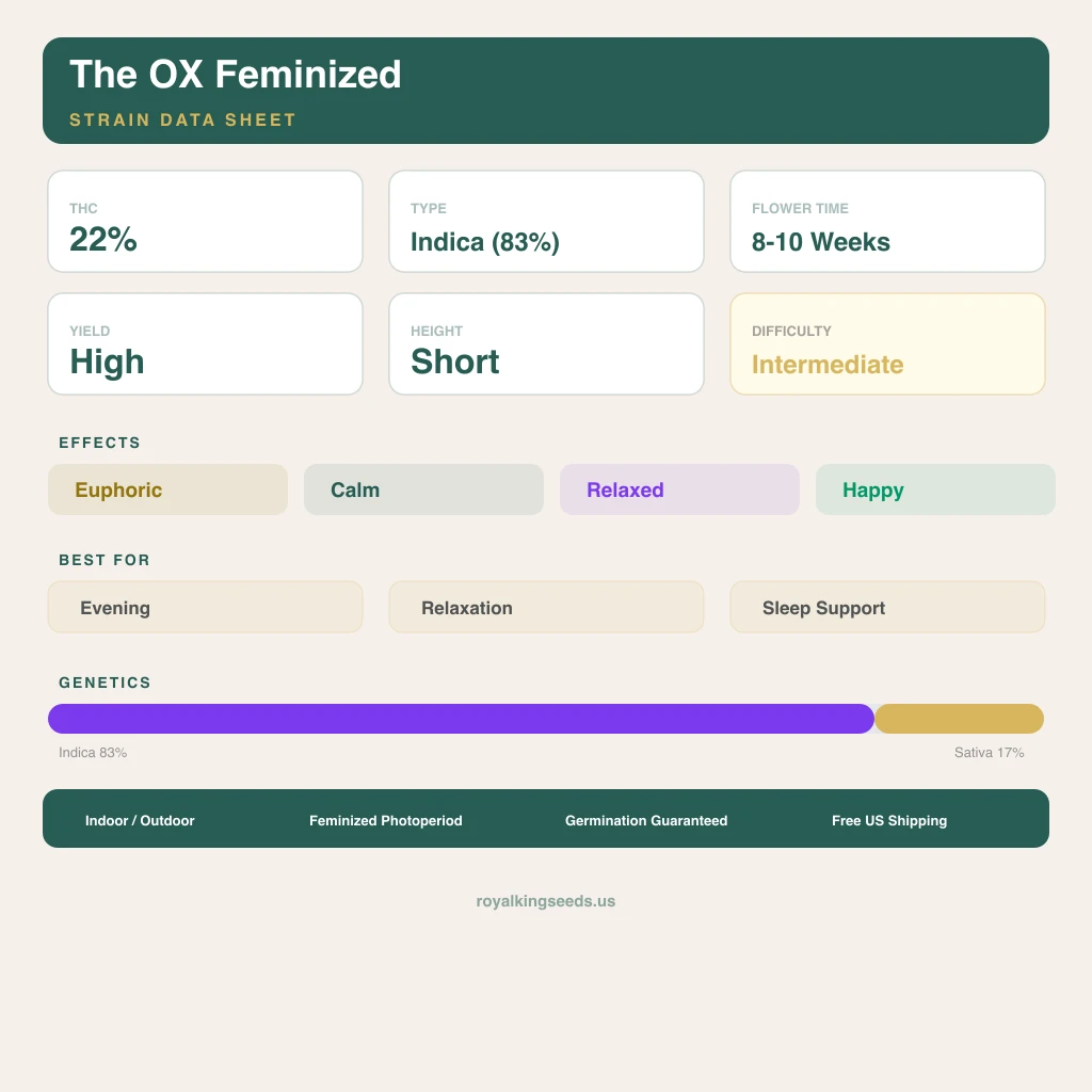 The OX 83% indica / 17% sativa flower with visible trichomes