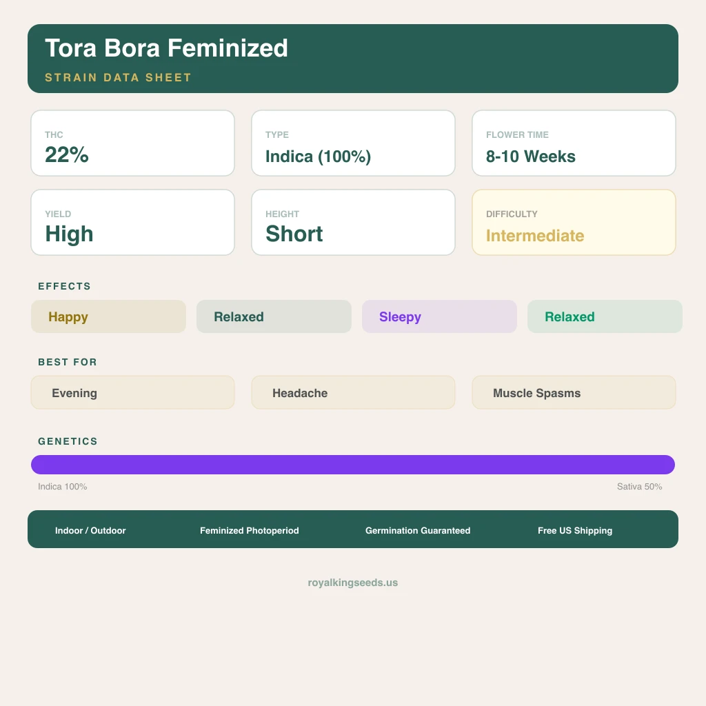 Tora Bora 100% indica / 50% sativa flower with visible trichomes