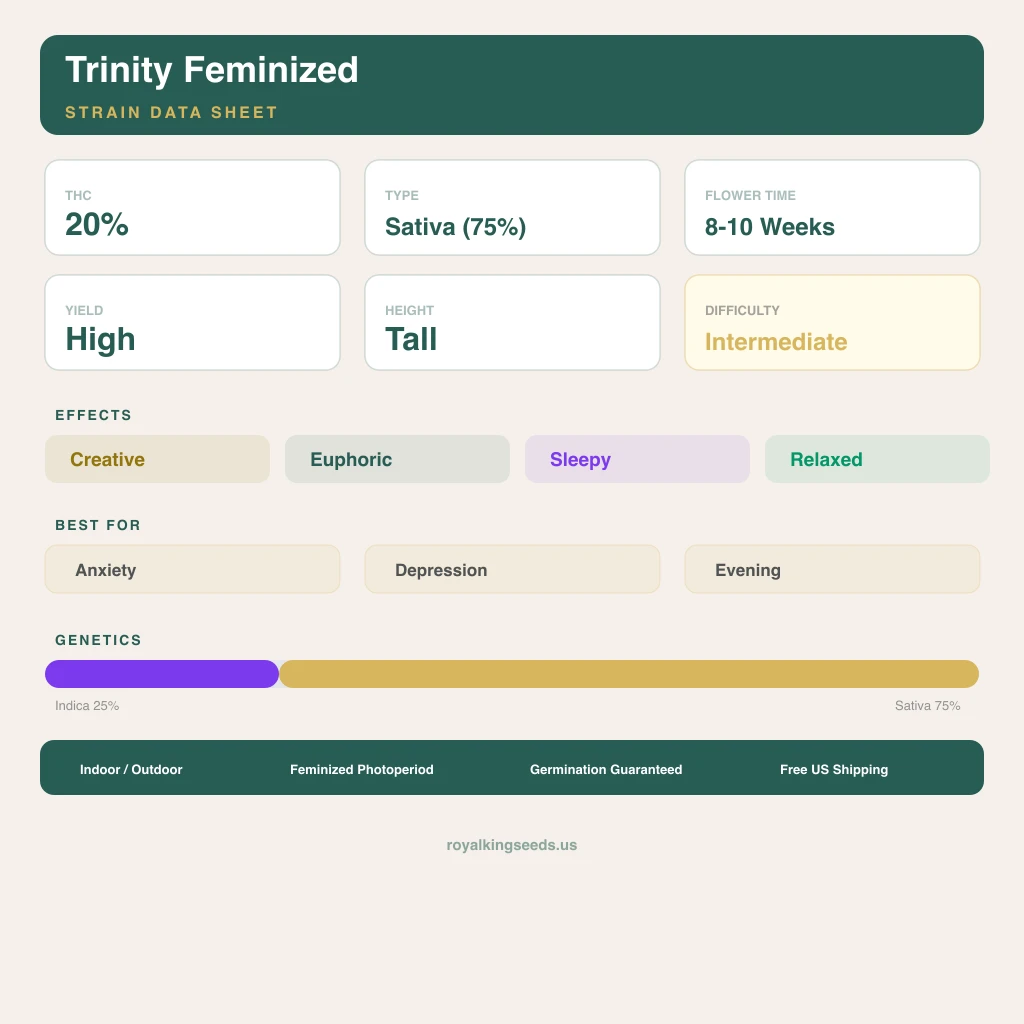 Trinity 25% indica / 75% sativa flower with visible trichomes