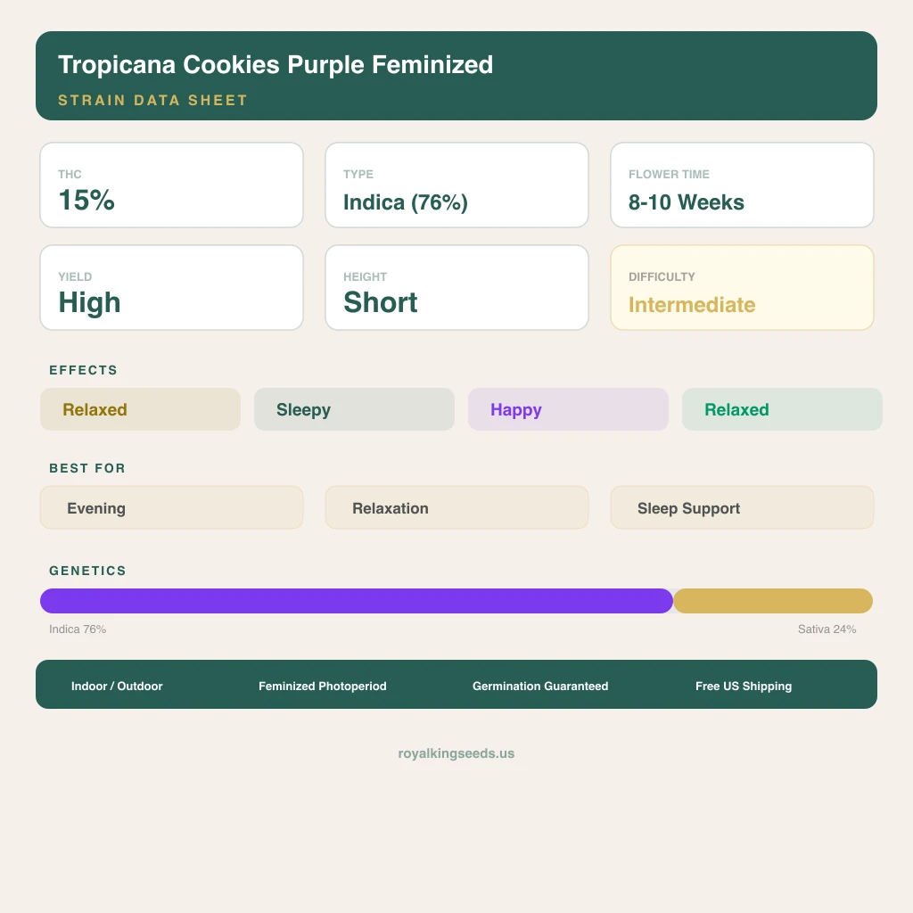 Tropicana Cookies Purple 76% indica / 24% sativa flower with visible trichomes