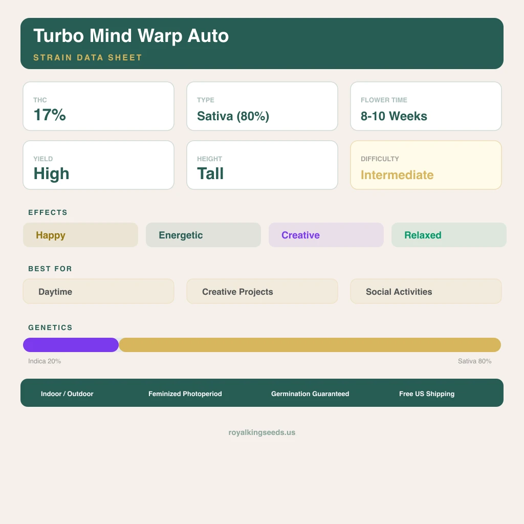 Turbo Mind Warp 20% indica / 80% sativa flower with visible trichomes