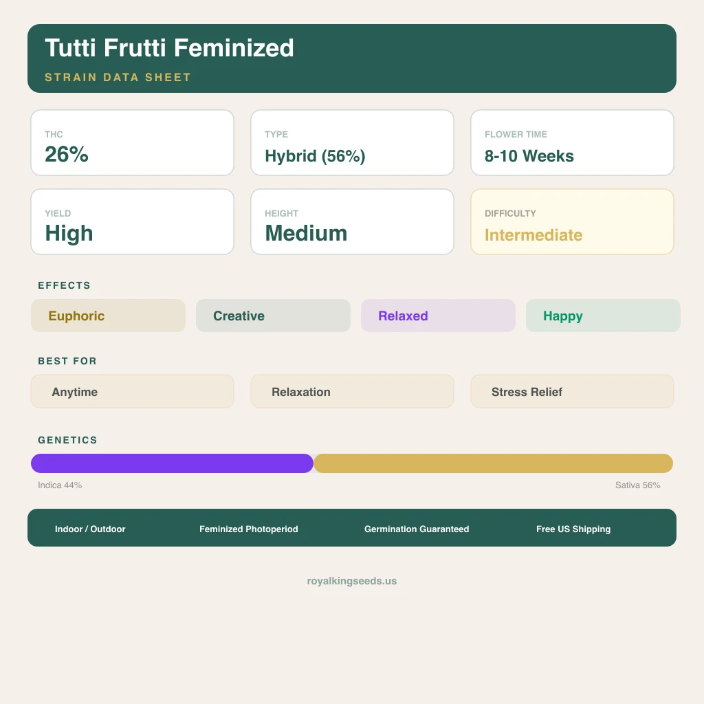 Tutti Frutti 44% indica / 56% sativa flower with visible trichomes