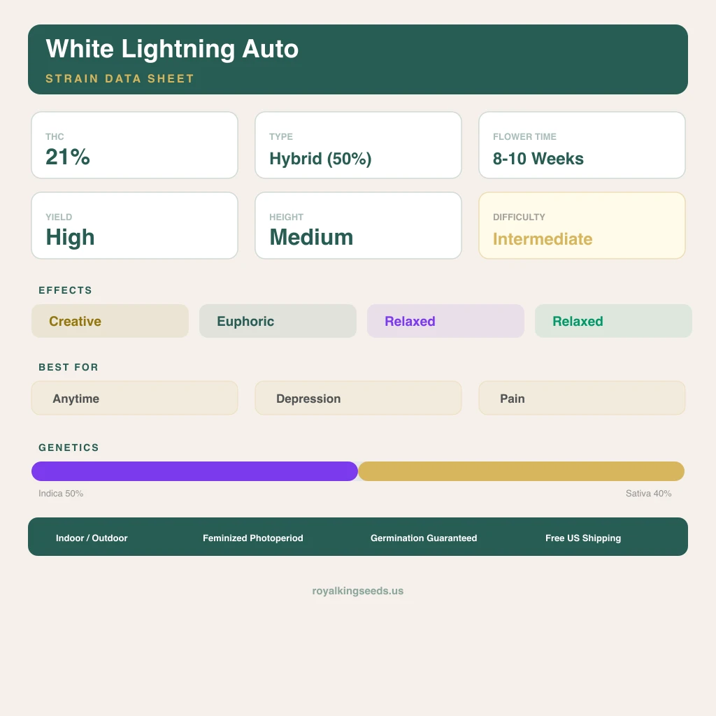 White Lightning 50% indica / 40% sativa flower with visible trichomes