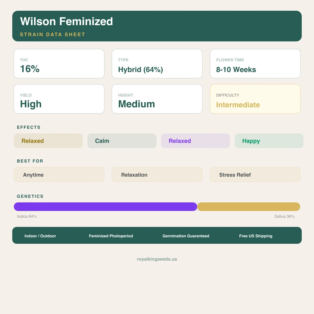 Wilson 64% indica / 36% sativa flower with visible trichomes