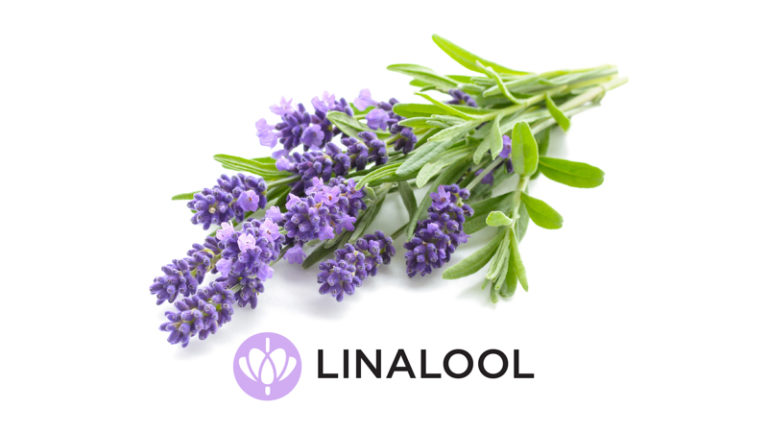 Linalool Terpenes