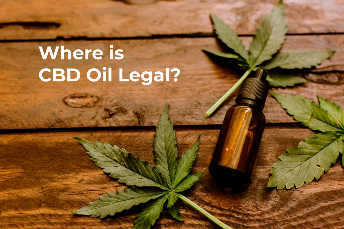 19hero img e1572775540665