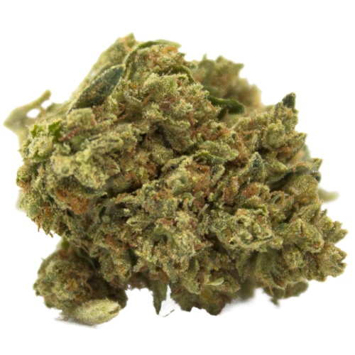 Hawaiian Dream CBD Cannabis Seeds - Image 2