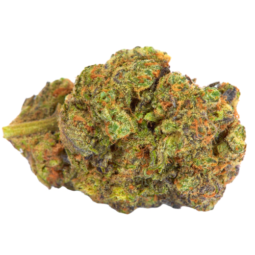 White Fire OG Cannabis Seeds - Image 2