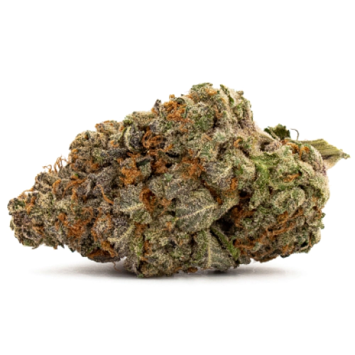 Yumboldt Cannabis Seeds - Image 2