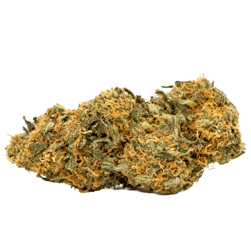 White Fire 43 Cannabis Seeds - Image 2