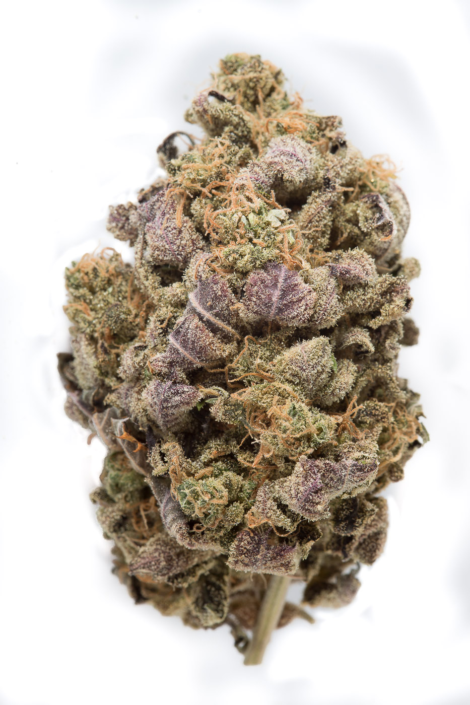 Blue Widow Cannabis Seeds - Image 2