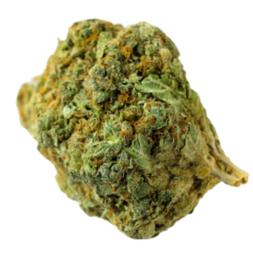 Bubblegum Kush Cannabis Seeds - Image 2