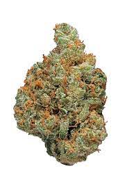 Champagne Kush Cannabis Seeds - Image 2