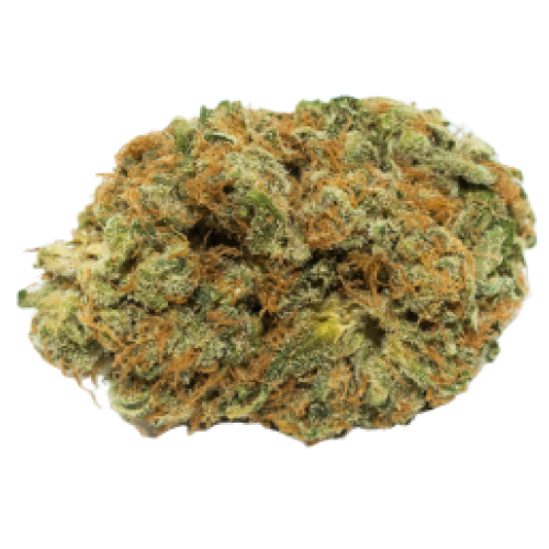 Cherry OG Cannabis Seeds - Image 2