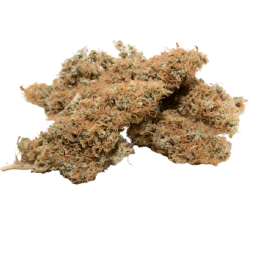 Chiesel Cannabis Seeds - Image 2