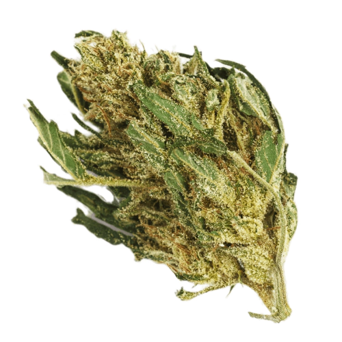 Dakini Kush Cannabis Seeds - Image 2