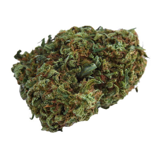 Diablo Cannabis Seeds - Image 2