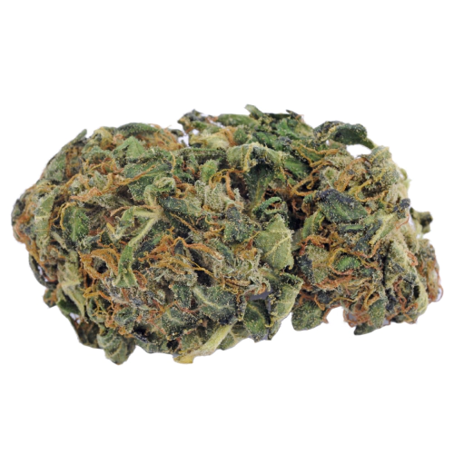 Double Purple Doja Cannabis Seeds - Image 2