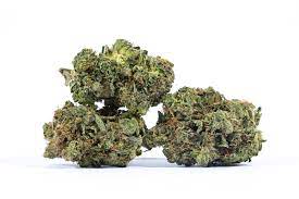 Dr. Funk Cannabis Seeds - Image 2