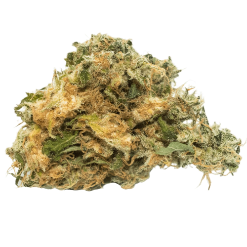 Flowerbomb Kush Cannabis Seeds - Image 2