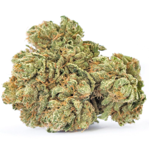 Goji OG Haze Cannabis Seeds - Image 2