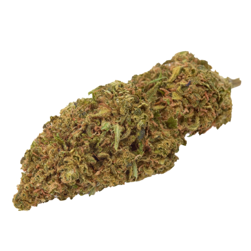 Goldberry Cannabis Seeds - Image 2