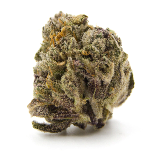 Golden Pineapple Cannabis Seeds - Image 2