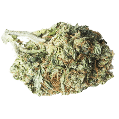 Grand Hindu Cannabis Seeds - Image 2