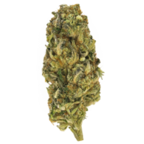 Grape Inferno Cannabis Seeds - Image 2