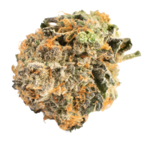 Green Goblin Cannabis Seeds - Image 2