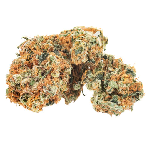 Hawaiian Cannabis Seeds - Image 2