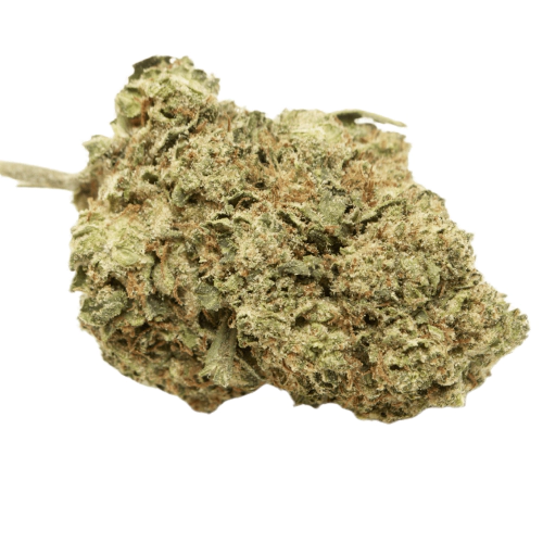 Katsu Kush Cannabis Seeds - Image 2