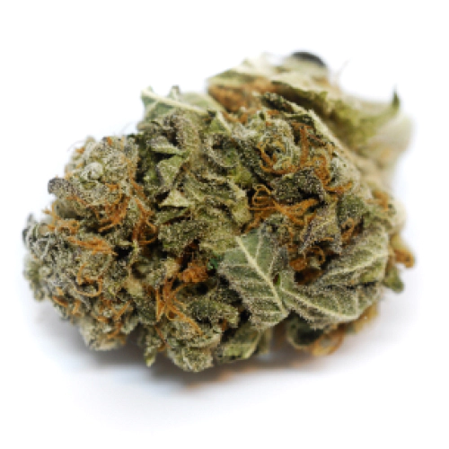 Kushberry Cannabis Seeds - Image 2