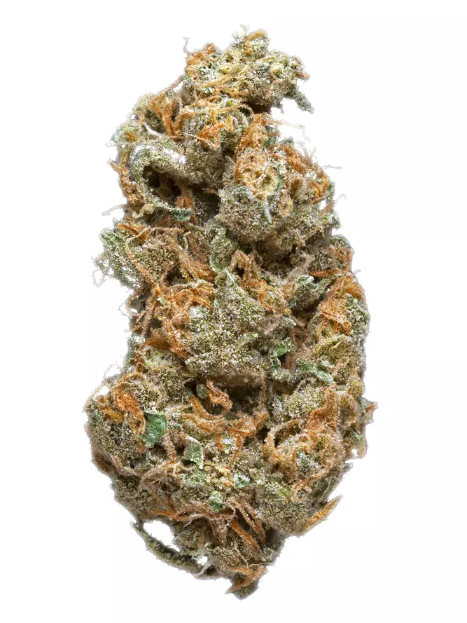 LA Ultra Cannabis Seeds - Image 2