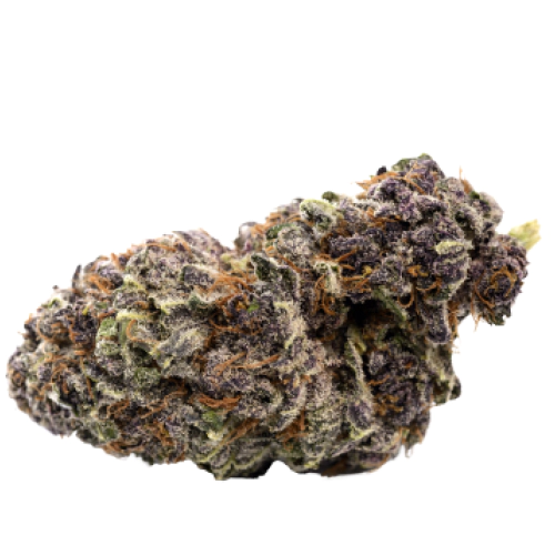 Marionberry Kush Cannabis Seeds - Image 2